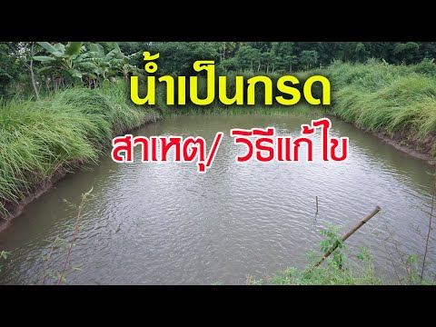 น้ำเป็นกรดเกิดจากอะไร..และมีวิธีแก้ไขอย่างไร? มาฟังเฉลยกันครับ