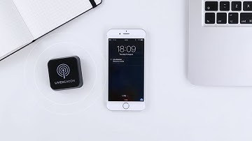 Live Beacon: The World