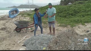A shocking amount of microplastics washed on shore at Kailua Bay