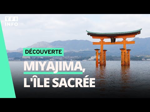 Vidéo: Les meilleures choses à faire à Miyajima