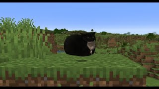 Maxwell the Cat in Minecraft (Download in Description)