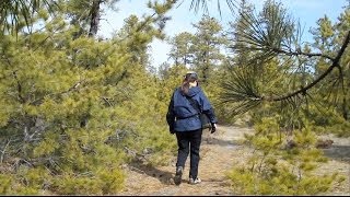 Jakes Branch County Park - njHiking.com