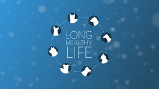 Preventative Patient Care for Your Pet
