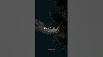 هيهات هيهات لما توعدون❤️ #سورة_المؤمنون #قرآن #ياسر_الدوسري #تلاوة_خاشعة #صوت_جميل #قران_كريم #دعم