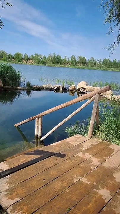 #ильмиранагимова #татарчажырлар #татарча#яратканжырлар#татарстан # ...