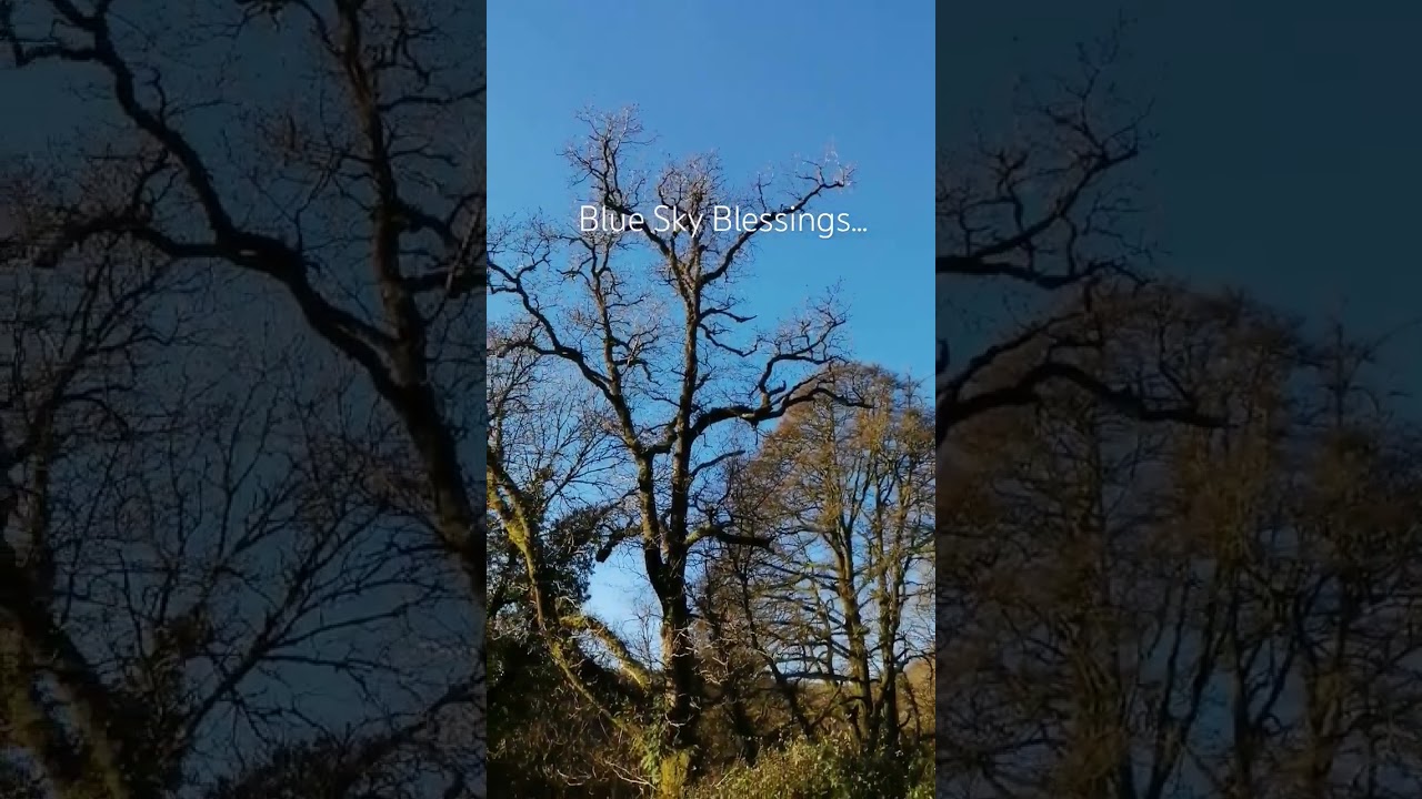 Blue sky and sunshine in my healing garden. Clear - Awaken - Feel the Light.  