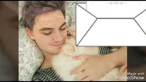 Te amo Felipe Neto #felipemenota 😍😍