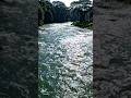 Mahadev kailash parvat par 👏 | #mahadev #kailash #maganga #ai #shorts #viral