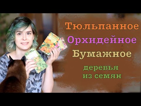 Видео: Что такое африканское тюльпанное дерево - узнайте об уходе за африканским тюльпанным деревом