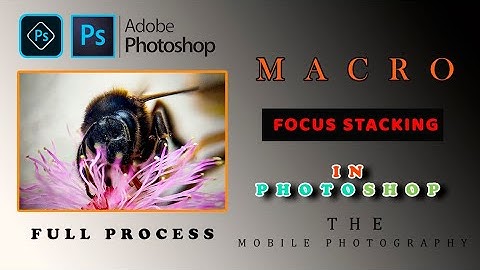Focus Stacking in PHOTOSHOP- MACRO Photography-Full Process - #themobilephotographer