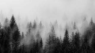 【Circle】by Luminar | Artlist