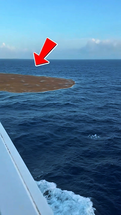 When Two Oceans Refuse to Mix🌎 #shorts #viralshort #shortsfeed