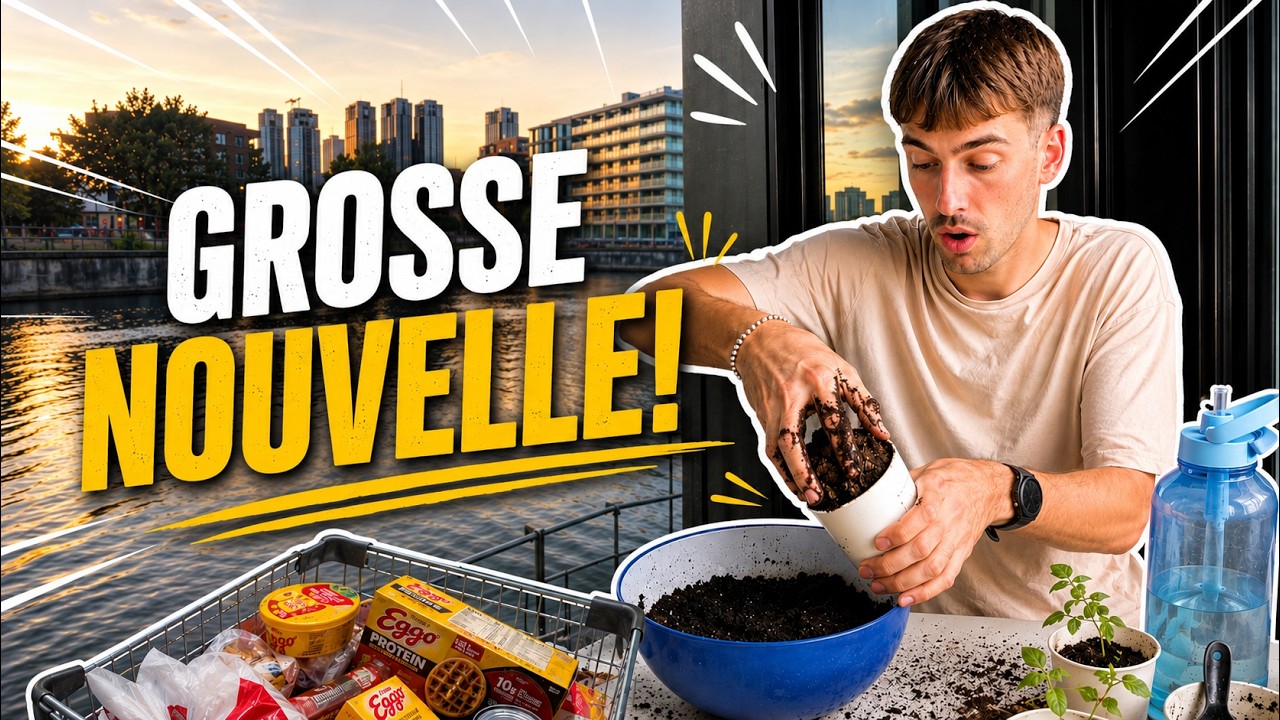 Température d'été (enfin!!), souper hot dog, GROSSE nouvelle et je rempote mes semis!