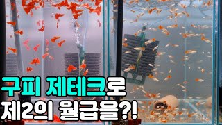 취미로 월30만원 벌기! 대리기사,배달대행 보다 쉽습니다