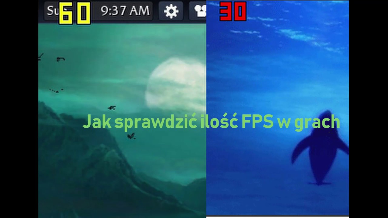 Jak Sprawdzic Ilosc Rozdan Stargames Jak Sprawdzic Ilosc Rozdan Stargames