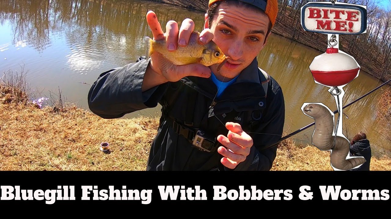 Bluegill Fishing With Bobbers & Worms Best Bluegill Fishing Rig [Best