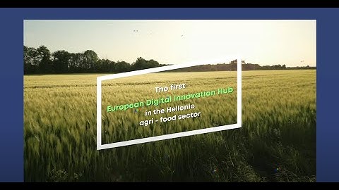 #DigiAgriFood: The First European Digital Innovation Hub in the Hellenic Agri-Food Sector