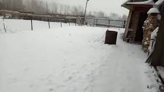ЛЮБОВНЫЕ ОТНОШЕНИЯ 😚😍 ЛЮБОВНЫЕ ОТНОШЕНИЯ 😚😍