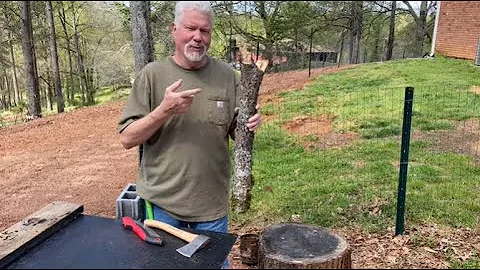 Bow Drill, Damp Water Oak