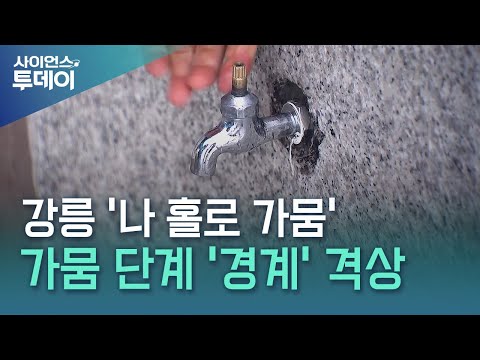 물난리 속 강릉만 ‘최악 가뭄'...수도꼭지 뽑고 화장실 폐쇄 / YTN 사이언스