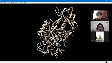 Melihat struktur 3D Protein menggunakan Cn3D ,Chimera,NCBI