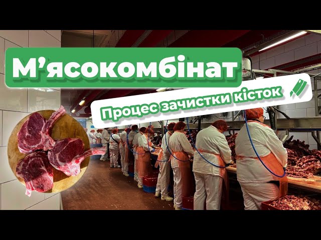 Работа в Польше на птицефабрике и мясокомбинате