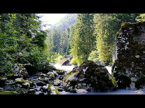 My Nature Video #98