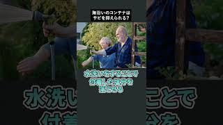 YouTube | 【国産コンテナ】海沿いのコンテナはサビを抑えられる？ #shorts