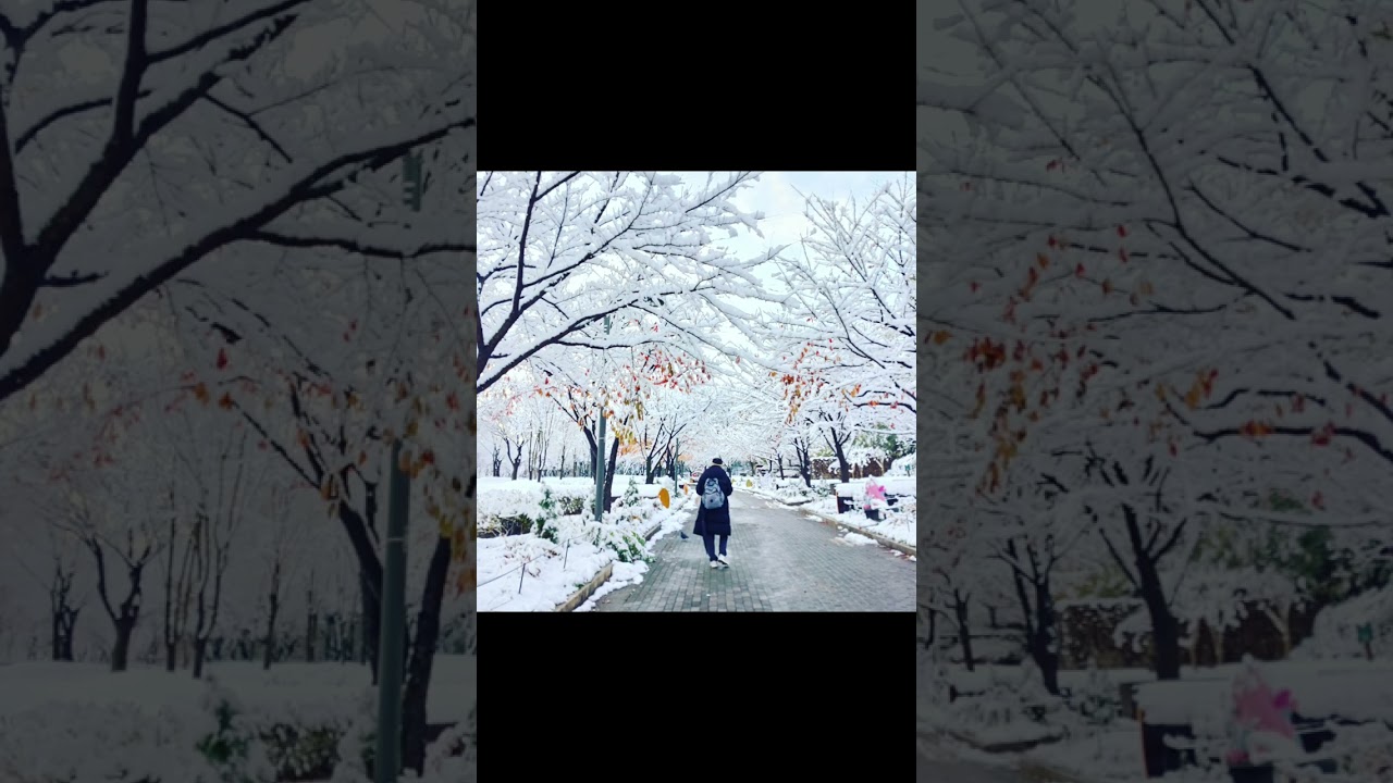 시린가슴 내사랑♡설렘이 아니라 지나간 뒤에 찾아오는 통증이고,잊으려 할수록 더 선명해지는늦은 깨달음이다.그래서 가슴이 시리다.사랑했기 때문이 아니라,지키지 못했기 때문에.