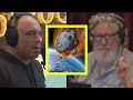 Joe rogan evidence for the younger dryas impact