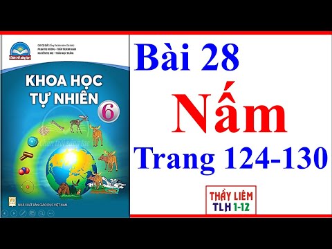 Video: Tại sao nấm mốc nước được mô tả là nấm giống như sinh vật nguyên sinh?