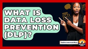What Is Data Loss Prevention (DLP)? - The Documentary Reel