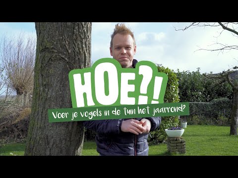 Video: Artikel vir diegene wat belangstel in die vraag hoe om by die RFD te kom