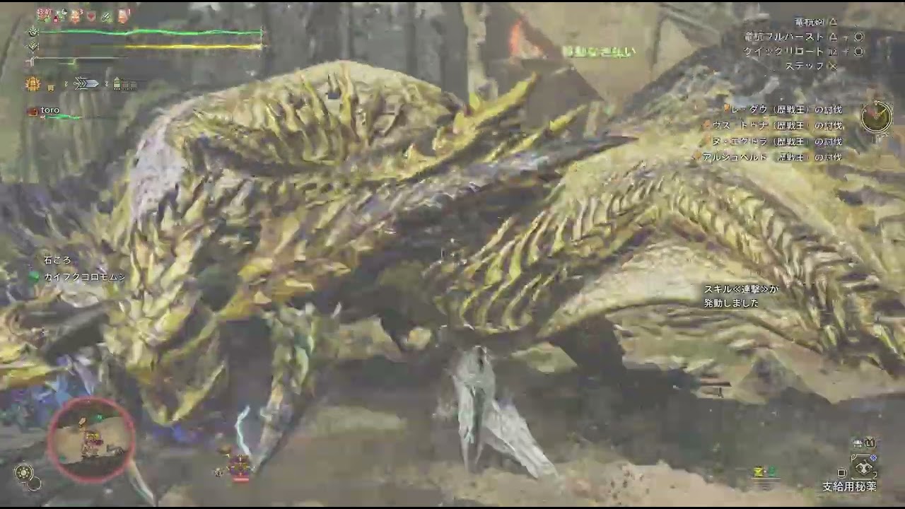 Monster Hunter Wilds_英雄の証