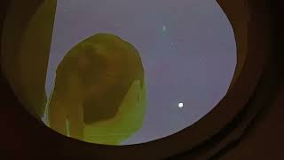 ๐น Through the Rose Window | Childlike Wonder Animation @ Frangipani Garden | Stamford Arts Centre