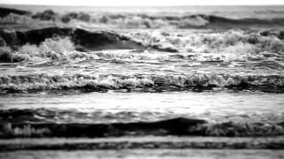 Shoaling Adriatico