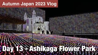Autumn Japan Day 13 Ashikaga Flower Park - 4K60 Hdr