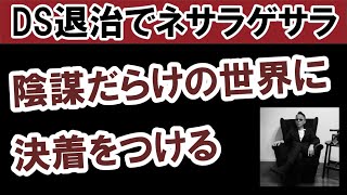 ⭐️【DS退治でネサラゲサラ】陰謀だらけの世界に決着。#スピリチュアル #量子物理学 #ノンデュアリティ