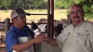 Rancho Ojo de Agua Pijijiapan Chiapas DKsilos