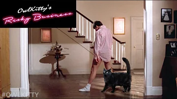 Risky Business with my cat (OwlKitty parody)