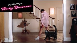 Risky Business With My Cat (Owlkitty Parody)