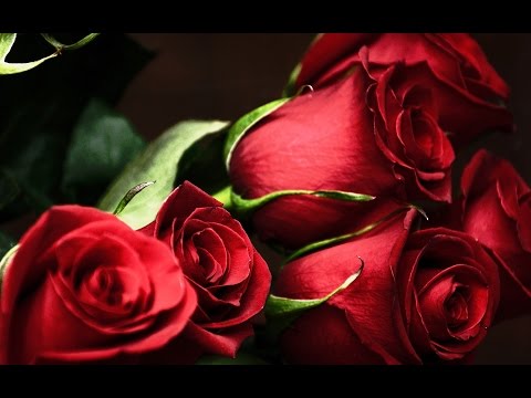 Признание девушке в любви