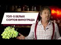 Топ 5 [БЕЛЫХ СОРТОВ] винограда