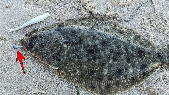 Fishing for Summer Flounder: Fluke Jigging from Shore, Boat, and Kayak: John  Skinner: 9780990691419: : Books