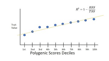 Polygenic Scores - Genome-Wide Association Studies Explained Simply Part 5