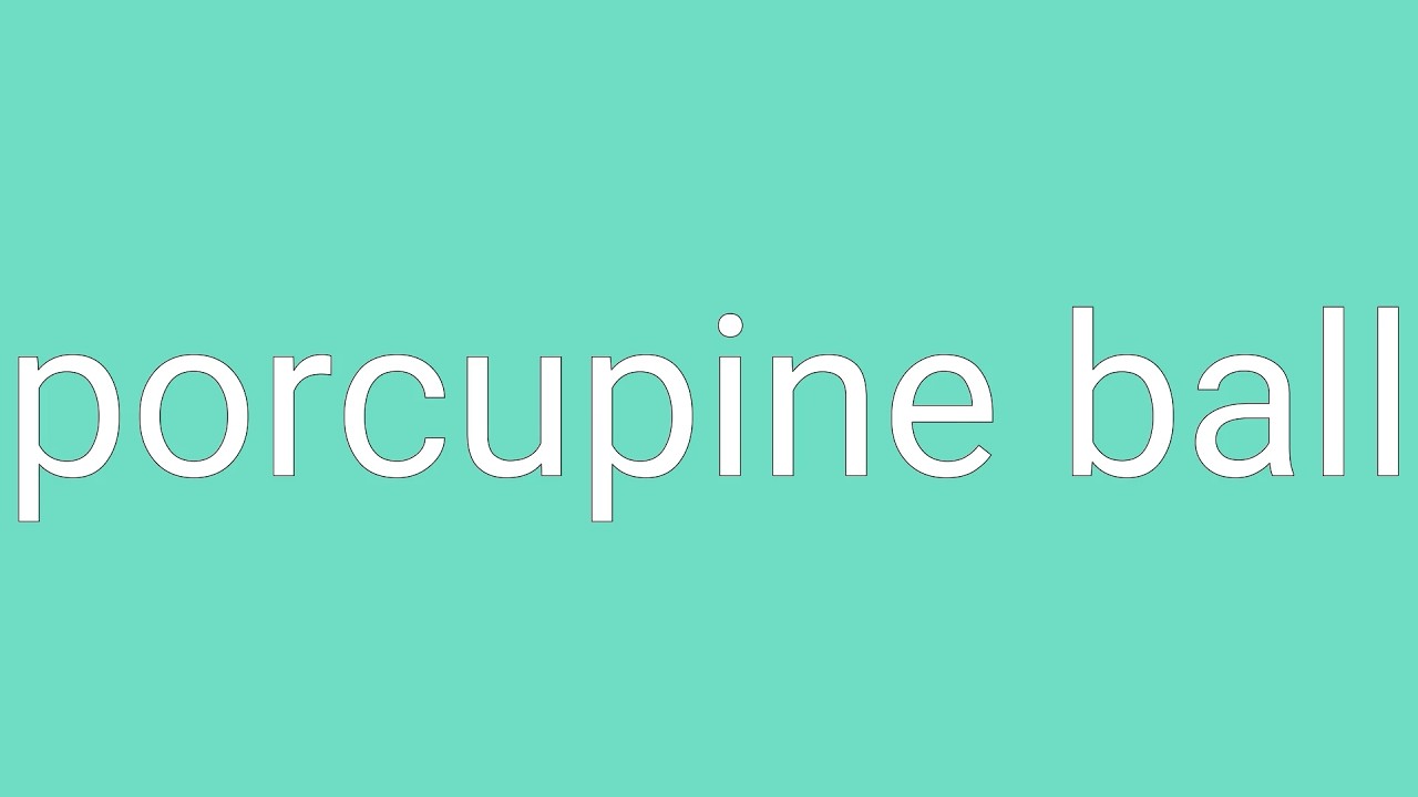 Porcupine Ball Definition & Meaning