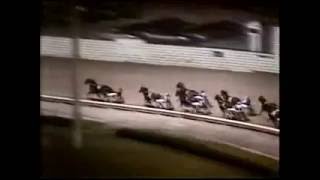 1984 Yonkers Raceway PRAISED DIGNITY Sheppard Pace Final Bill Popfinger