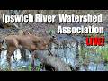 Ipswich River and Floodplain Forest Wildlife Cams - Ipswich River Watershed Association