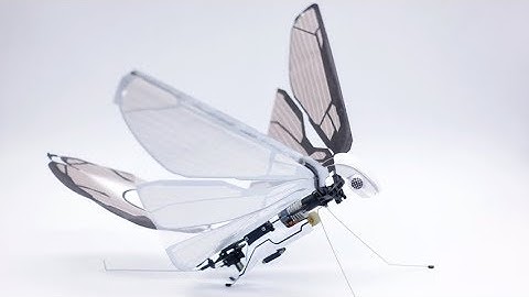 MetaFly by Bionic Bird