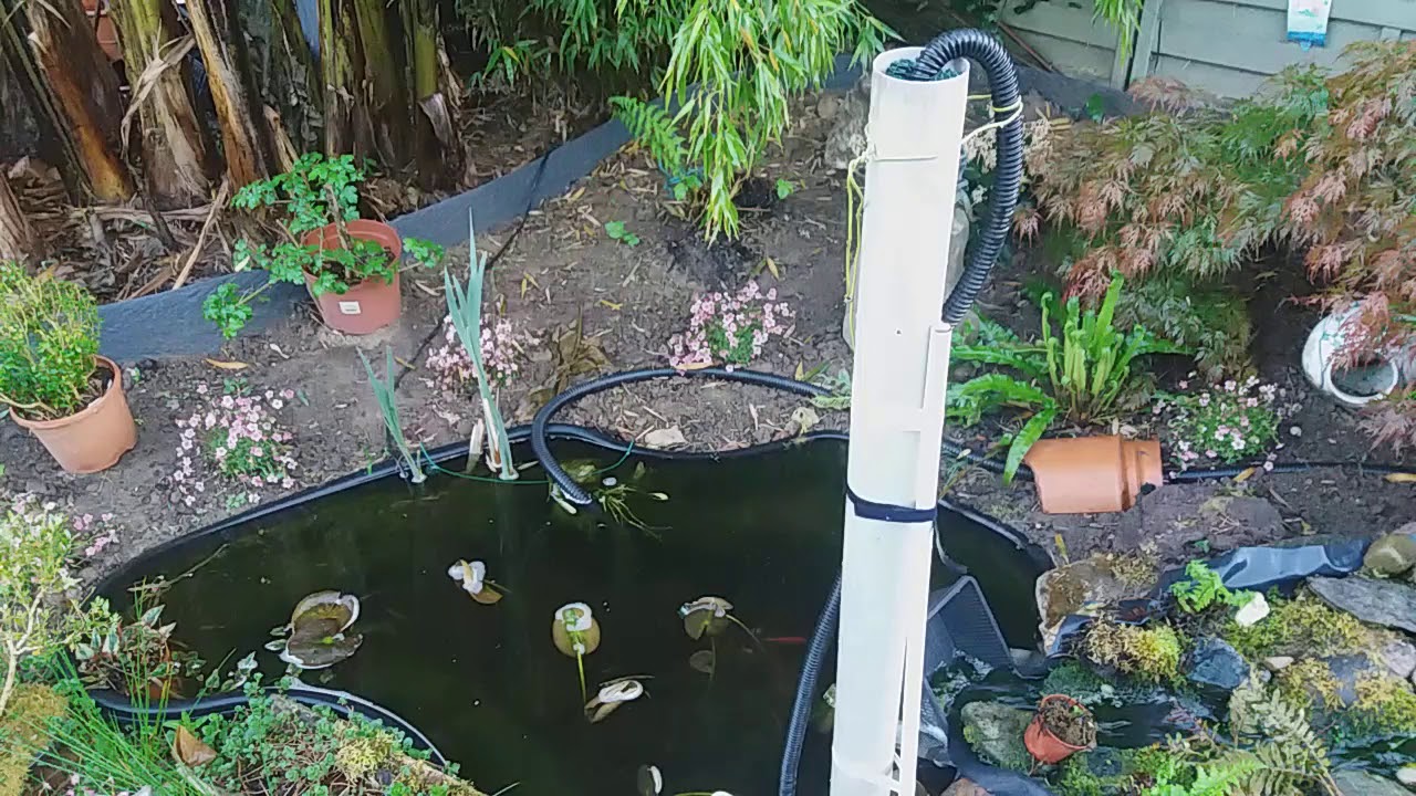 pond protein skimmer YouTube